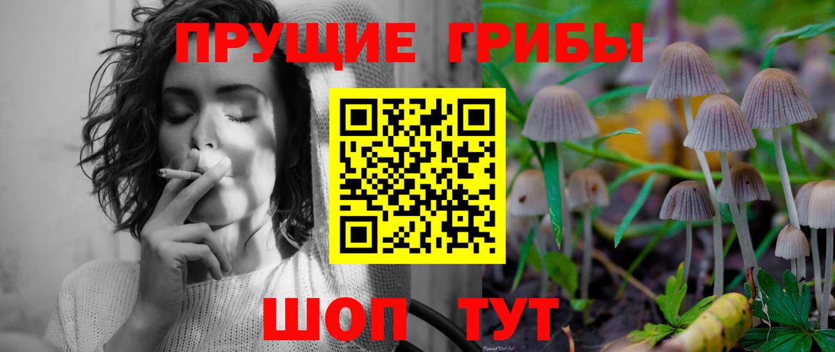 Кстово  купить  цена  Вход с VPN  Галлюциногенные грибы GOLDEN TEACHER  Псилоцибиновые грибы Magic Shrooms 