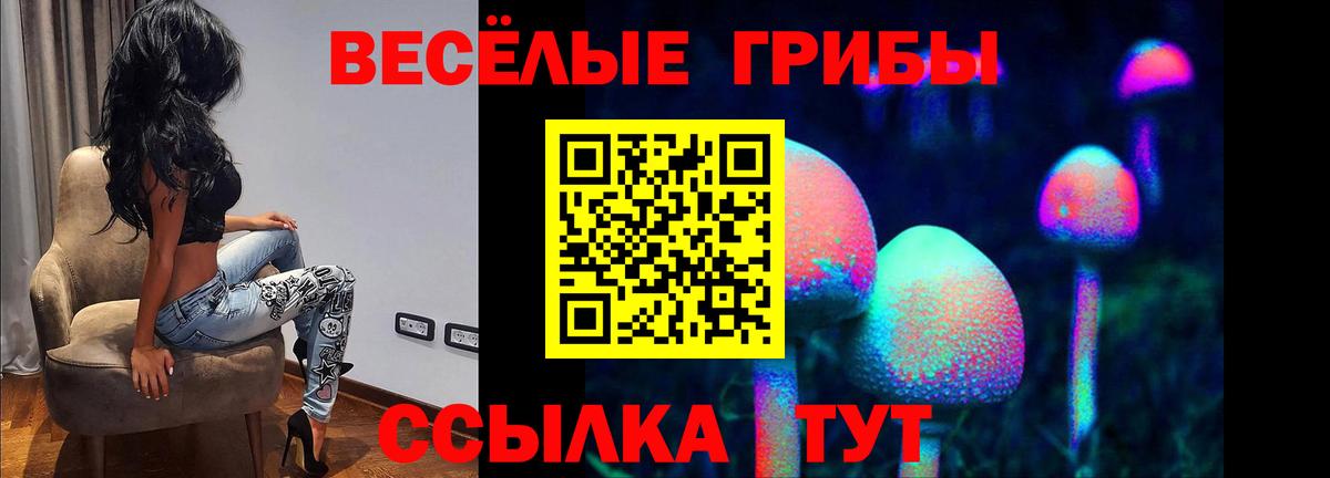 Галлюциногенные грибы MAGIC MUSHROOMS Кстово
